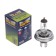 Lamp Automobile Lighthouse, H4, 24 V, 75/70 W (P45T), 1 pc