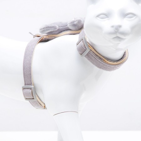 A set of ammunition with a toy, m, leash 120 x 1.5 cm, gray-1