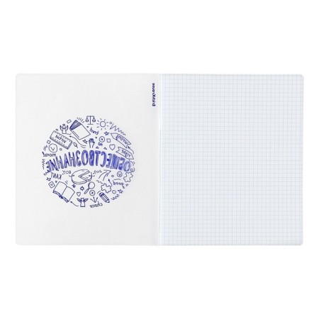Subject notebook, 48 sheets, cage, social studies Erichkrause "Chaos", plastic cover silk-screen cover, block offset 100%, information block-2