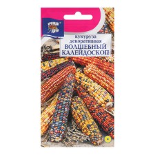 Corn flowers decorative 