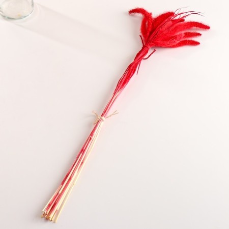 Set of dried flowers "Setaria", banch 7 pcs, length 60-65 (+/- 6 cm), red-3