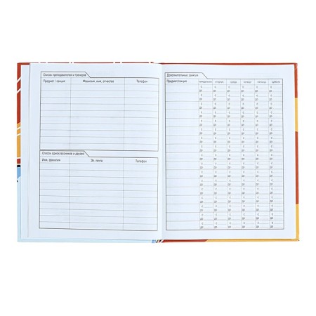 Diary for grades 1-11, solid cover "Vlad A4", 40 sheets, glossy lamination-4