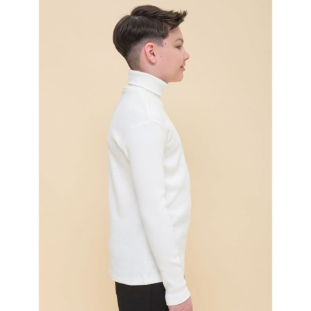 Turtleneck for a boy Pelican, height 128 cm, milk color-2