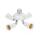 The bias is the basement E27-4he27 (rotary base) white rexant