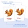 Books Set "Doman Cards in English", 8 pcs. 24 p.