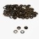 Shirt, open button, d = 9.5 mm, antique color