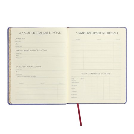Universal diary for grades 1-11, 48 sheets, My Sweet. Donuts, covering artificial leather, lies, tinted block-4