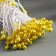 Stamens for artificial flowers "Drops of light yellow" (set 130 pcs) length 6 cm