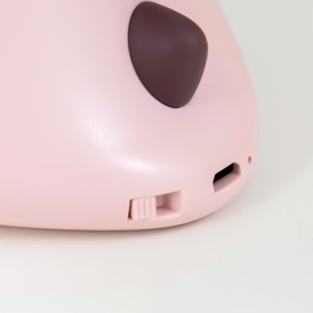 Table lamp dinosaurus LED 3W USB AKB MIX 10x11.5x11.5 cm Risalux-9