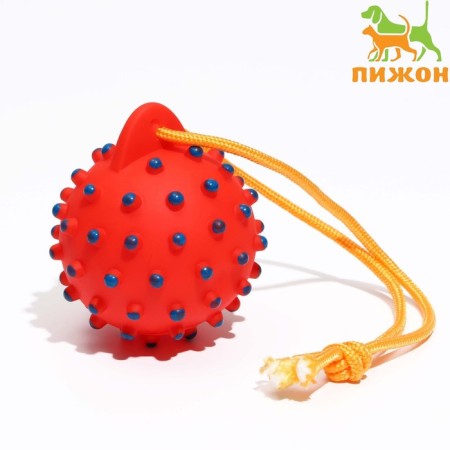 Brying "Ball on the rope" for dogs, 8 cm, red