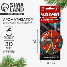 Fragrance for the car New Year's 