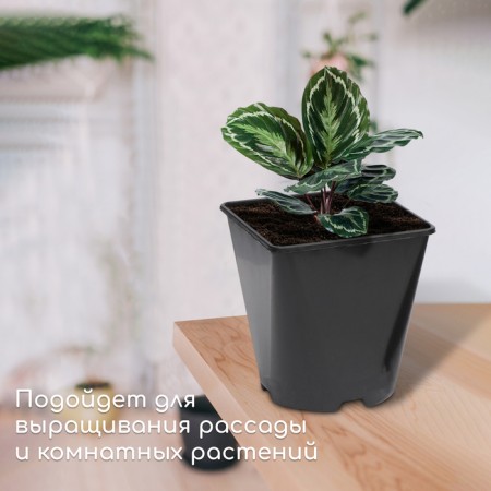 Pot for seedlings, 2 l, d = 14 cm, h = 15 cm, black, greengo-2