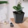 Pot for seedlings, 2 l, d = 14 cm, h = 15 cm, black, greengo
