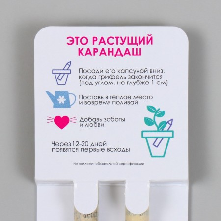 Growing gift pencils mini "Acacia and clove" set 2 pcs-2
