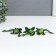 Souvenir Polystone Lac "Frog - Seeing" MIX 4x10x9 cm
