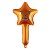Pumpkin star