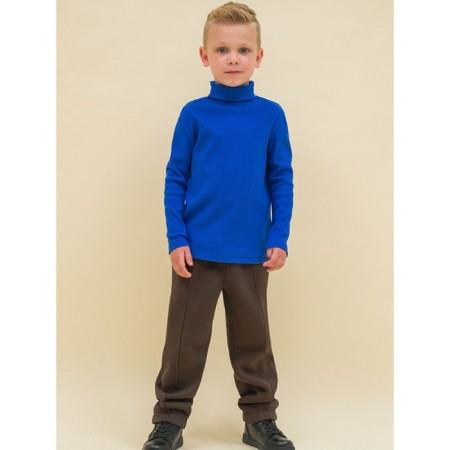 Turtleneck for the boy Pelican, height 122 cm, color ultramarin-5