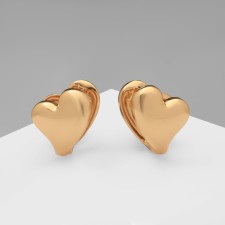 Earrings Metal 