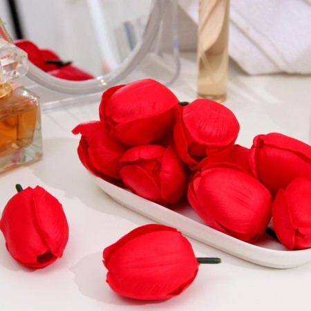 Soap tulip, red-1