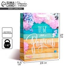 Gift laminated vertical, packaging, “you for joy”, ml 23 x 27 x 8 cm