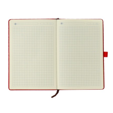 Diary Leduced A6, 100 sheets in a cage, elastic band, leatherette cover, mix-2