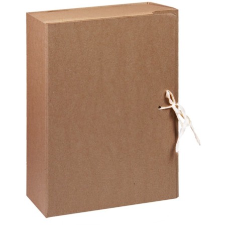 Archive box with ties, 100 mm, binding cardboard, calligrata isolate, without covering, MGK valve, up to 900 sheets