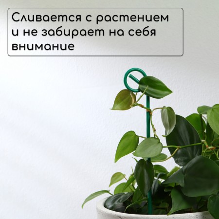 Pegs for garter plants, h = 30 cm, d = 0.3 cm, wire, green, greengo-2