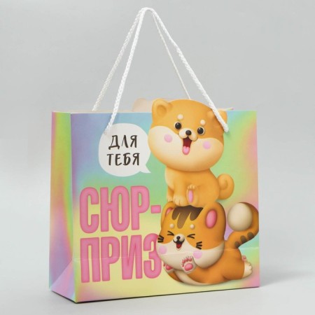Gift package, packaging, "Surprise", 25 x 26 x 10 cm-2