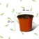 Pot for seedlings, 3.5 l, d = 20.5 cm, h = 17 cm, greengo