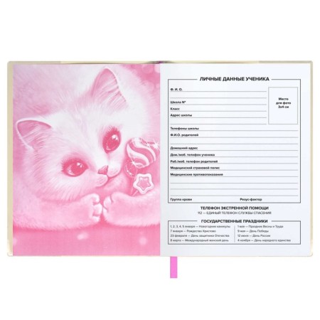 School diary for grades 1-11 "Candy Cat", soft cover, PVC, foil embossing, removable cover, 48 sheets, offset block 80g/m2, universal cheat sheet-3