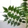 Artificial tree "acacia" in a pot, 90 cm