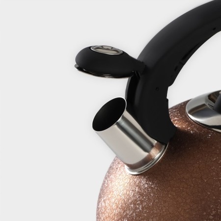 A kettle with a stainless steel whistle SNOW, 3 l, induction, gold color-3