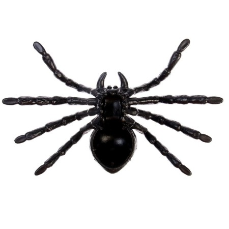 Fun "Spider", black color, 20 × 15 cm-2