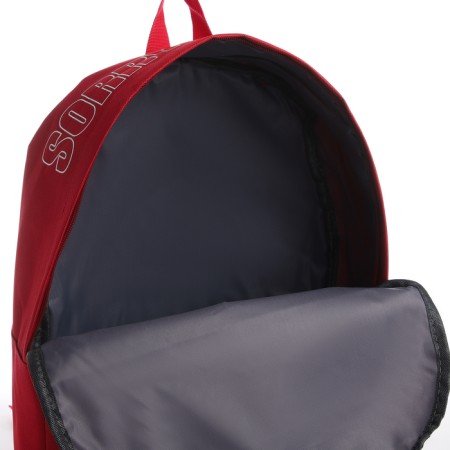 School textile backpack with print on the upper part of the sorry, 38x29x11 cm, burgundy color-8