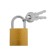 The castle of a hinged type 14, 25 mm, 2 keys