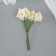 Decorative flower for the creativity of "Calla" Ivory