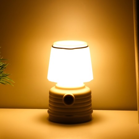 The spine "Mini" LED 3W from 3HAAAA batteries is gray-white 6.5x6.5x11.5 cm Risalux-1