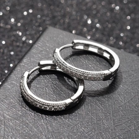 Ring Earrings "Splash" a clear double line, d = 2.4 cm, white color in silver