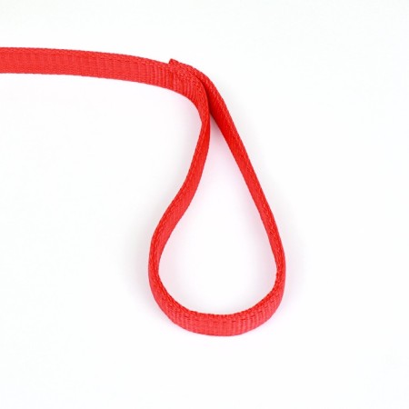 Two -layer leash with reinforced carbine, 3 m x 2 cm, red-2