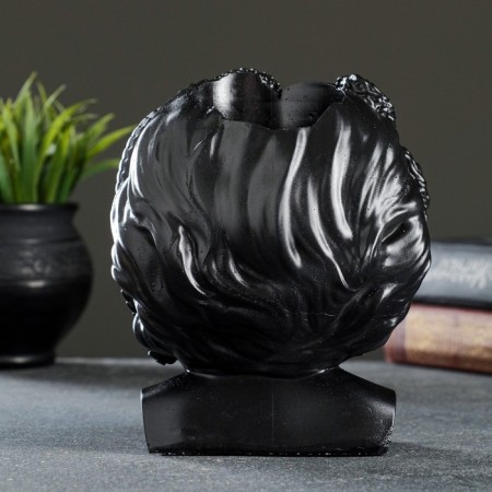 Kashpo - organizer "Gorgon Medusa" Black with gold, 13x16x11cm-3
