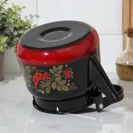 A kettle with a loop "Ryabina", 2.3 l, enameled cover, induction-2
