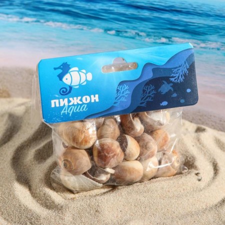 A set of shells, 2.5 - 4.5 cm, 100 g-3