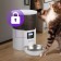 Smart animal feeder KitFort KT-6362, 10 W, 4 L, white-black