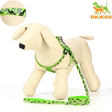 The stolen set "Militari", leash 120 x 1 cm, OG 23-35 cm, khaki