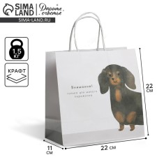 Gift package, packaging, “Pies”, 22 x 22 x 11 cm