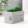 Kashpo concrete mini "Retro radio" with moss lightly gray 8x4x4.5cm (moss green stabilizer.)