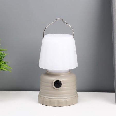 The spine "Mini" LED 3W from 3HAAAA batteries is gray-white 6.5x6.5x11.5 cm Risalux