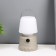 The spine "Mini" LED 3W from 3HAAAA batteries is gray-white 6.5x6.5x11.5 cm Risalux