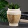 Figure Kashpo "Dionysius" beige-brown, 2.5l / 16x19x16cm