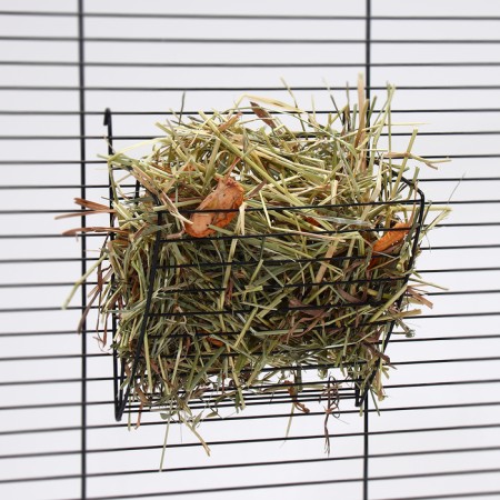 Lugovoi hay with fruits "Pigzon" for rodents, 20 l, 500 g-6